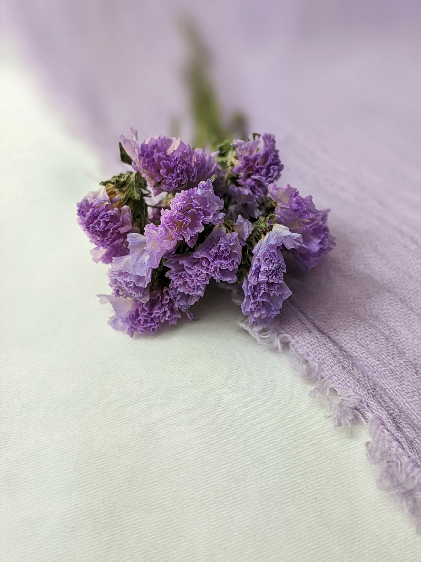 Dried botanicals and oil-ready ingredients arranged for skincare styling