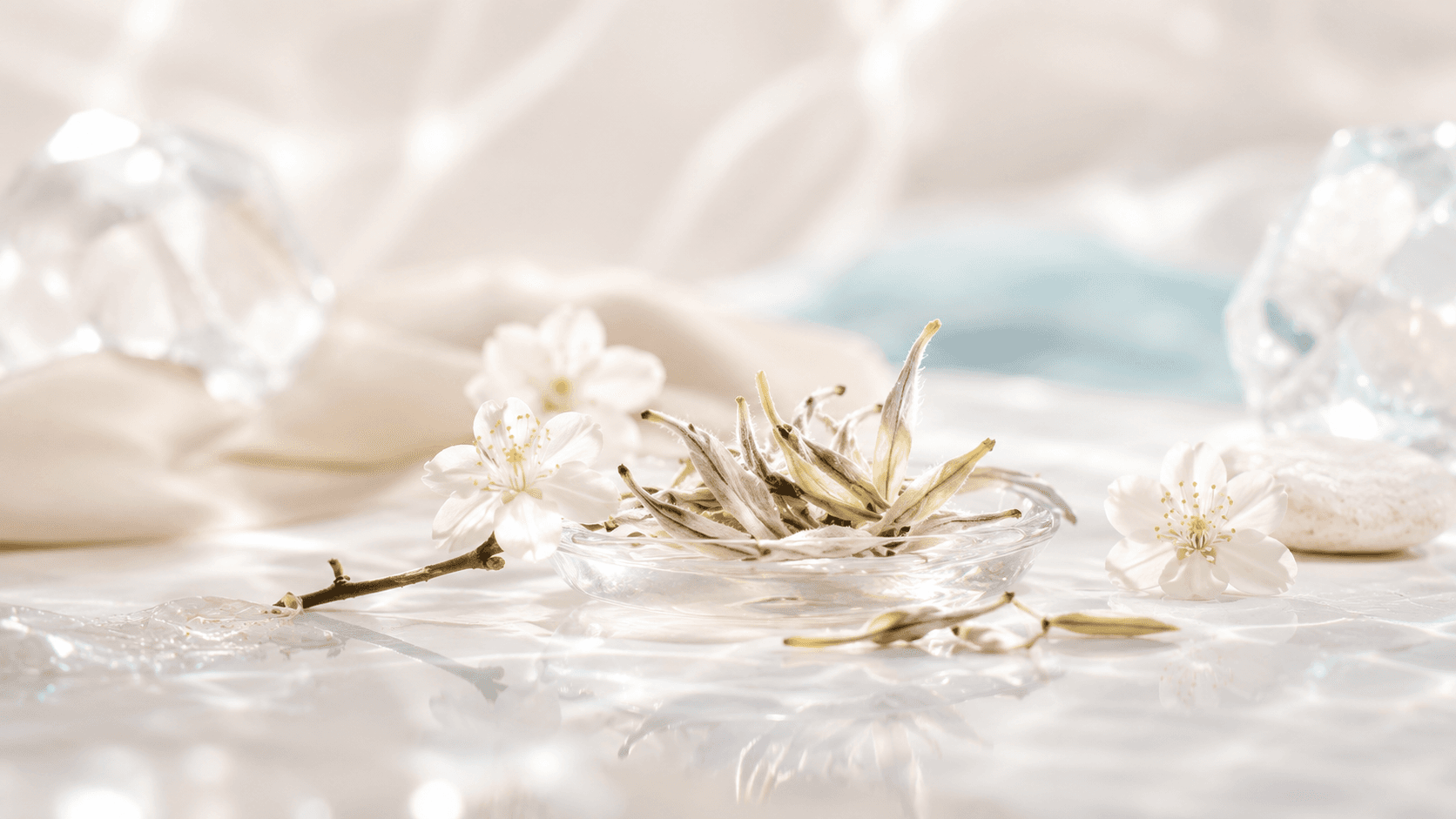 Silvery white-tea buds gathered in a small glass dish with delicate white blossoms
